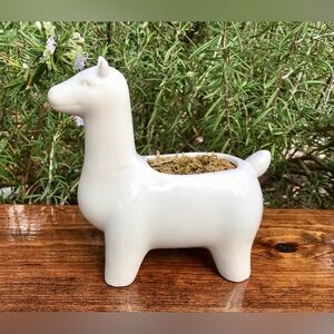 Solid White Minimalist Alpaca Shape Small Plant Succulent Planter Container Vase